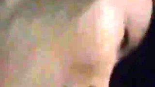 Risky Wife Sucks Cock in Bar/parking Lot and Cum Walk