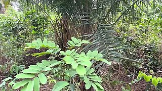 Hot Nigerian Couple Fucking Doggy Style in the Jungle - Outdoor Sex