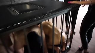 Mistress Gaia Femdom Ballbusting Dungeon Domination FemDom