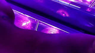 Naked busty beauty pleasuring herself in a tanning bed