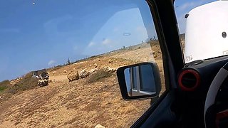 Daniela Antury Wrecked By Stranger In The Car Onlyfans