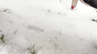 Busty MILFs Pissing Wild in Snowy Outdoor Fetish