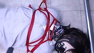 The Lovely Girlfriend Is Bound by Gloves, a Collar, and a Gag