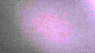 What for connoisseurs