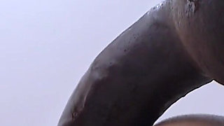 Girl Gets Fucked in the Ass with a Huge Black Dildo Doggy Style