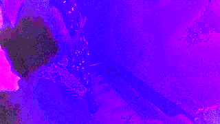 Busty Boobs Stepmom Fucks in Night in Doggy Style Hardcore Porn Video